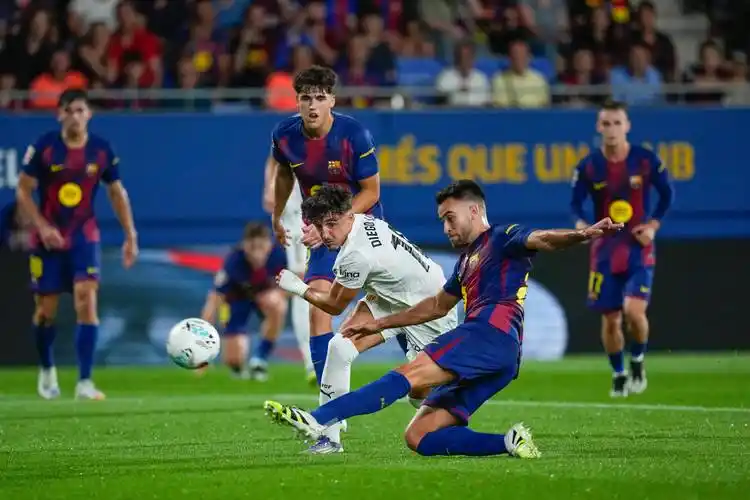 雨燕直播免费看